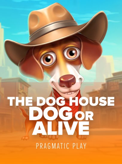 The Dog House – Dog or Alive